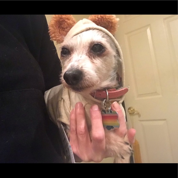 New Kid in Town - Picture 3 of 15